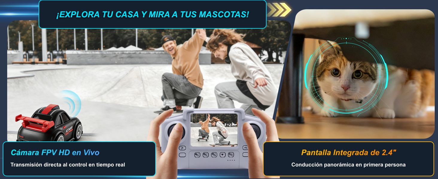 Sección visual